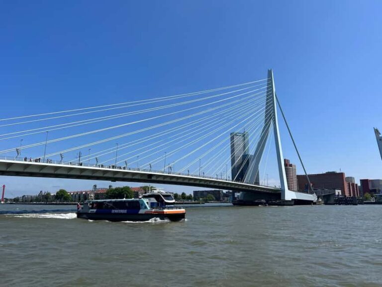 Rotterdam: Waterbus Ticket to Dordrecht and/or Kinderdijk - The Waterbus lines: Dordrecht vs Kinderdijk (and when they run)