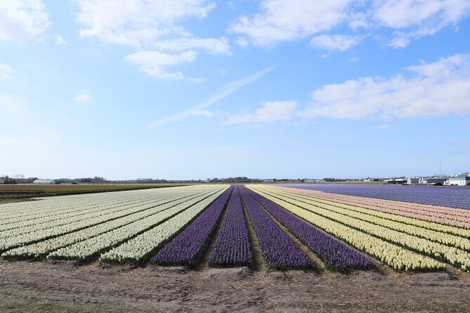 Small Group Keukenhof and Delft Guided Tour from Amsterdam - Lisse Flower-Bulb Fields: Quick Photos, Real Spring Color