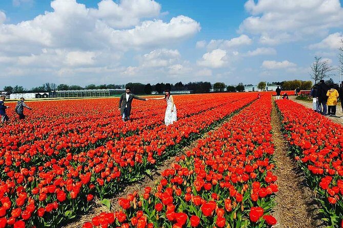 Small Group Keukenhof and Delft Guided Tour from Amsterdam - Delft Canal City: Medieval Streets Plus a Delftware Workshop