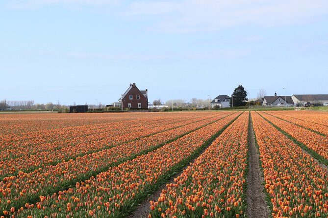 Small Group Keukenhof and Delft Guided Tour from Amsterdam - Group Size, Vehicle Comfort, and Why It Can Affect Your Day