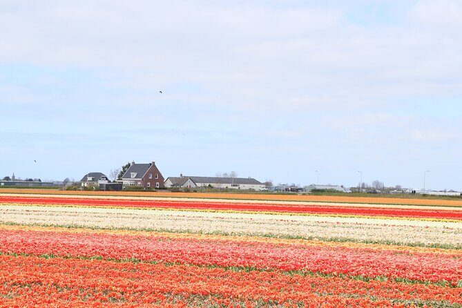 Small Group Keukenhof and Delft Guided Tour from Amsterdam - How the Best Guides Improve Keukenhof and Delft