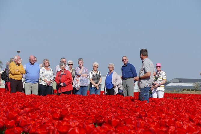 Taking Pictures in the Tulip Field at De Tulperij - After the photos: picking your own bunch and taking something real home