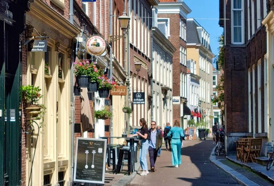 The Hague: City Walking Tour - Ending at Noordeinde Palace: a fitting last stop