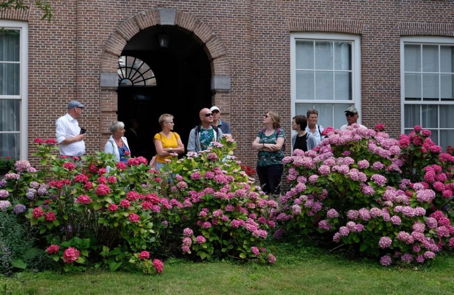 The Hague: Courtyard Walking Tour - Pets, Dogs, and Courtyard Etiquette to Keep in Mind