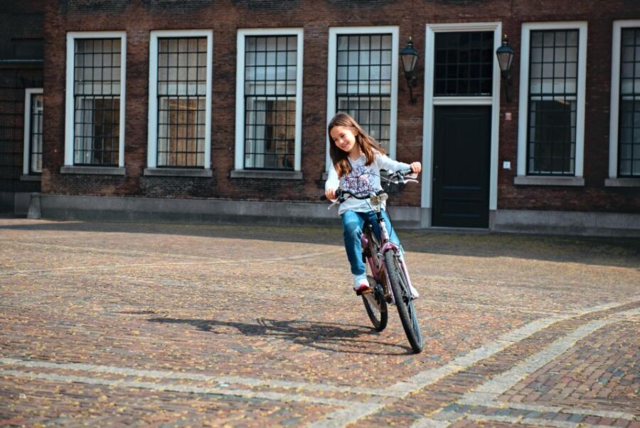 The Hague: Highlights Bike Tour - Why this bike tour is a smart fit for The Hague