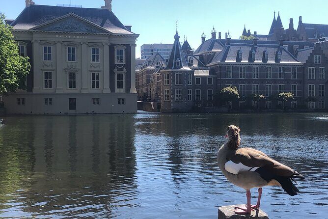 Visit the Girl with the Pearl Earring, The Hague & Delft City - Mauritshuis: where Vermeer’s Girl with a Pearl Earring steals the show