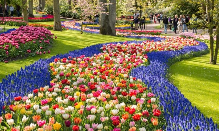 Warmond: Windmill Cruise and Keukenhof Entry Ticket - Key Highlights You’ll Notice Right Away