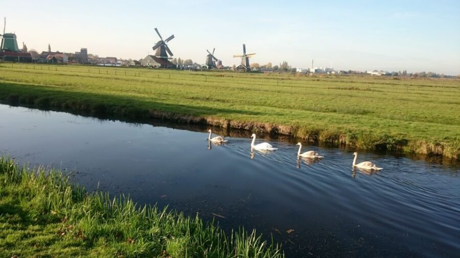 Zaanse Schans Windmills 4-Hour Tour in Italian - Getting Back to Amsterdam: Trains, Timing, and a Bonus Add-On