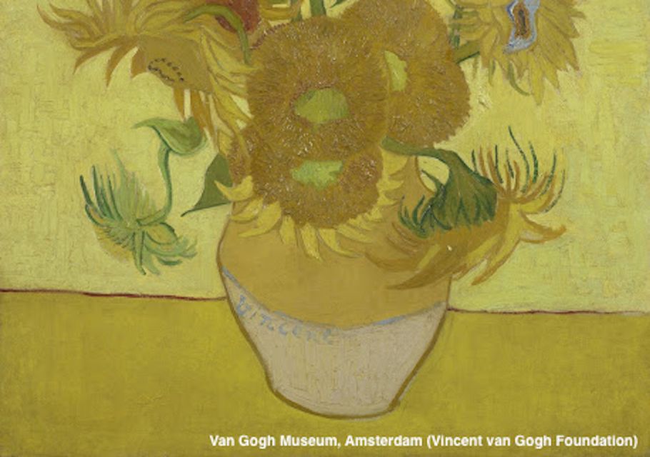 Amsterdam: Van Gogh Museum Guided Tour with Entry - Finding Your Guide at Paulus Potterstraat 7 (Green Means Go)
