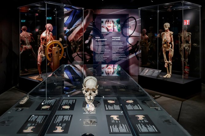 Body Worlds Amsterdam Admission Ticket - Body Worlds Amsterdam in about 90 minutes: the feel of the visit
