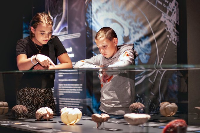 Body Worlds Amsterdam Admission Ticket - Real human specimens: what you’re actually seeing (and why it matters)