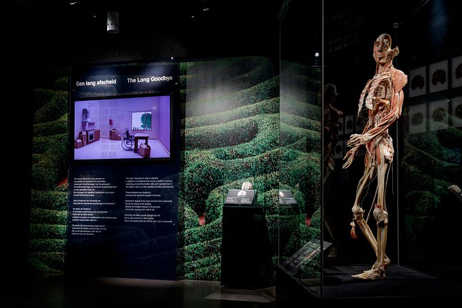 Body Worlds Amsterdam Admission Ticket - Is it worth the money? Value vs. what you might expect