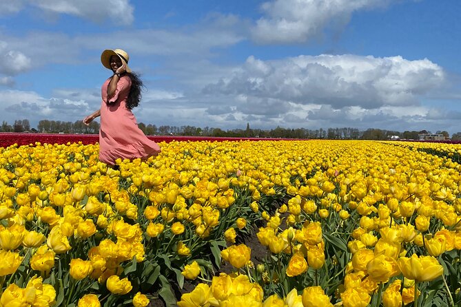 Discover Holland’s Beautiful Tulip Fields with an Expert Guide - What makes this Amsterdam tulip tour feel special