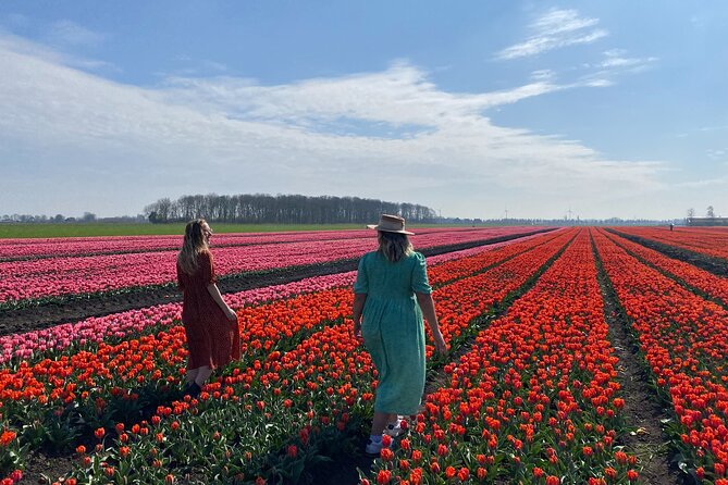 Discover Holland’s Beautiful Tulip Fields with an Expert Guide - Onderdijk lunch: village atmosphere plus a standout church
