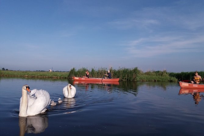 Fresh nose tour with the canoe through the nature near Amsterdam - Lunch in the wetlands garden: bring your own, eat outdoors