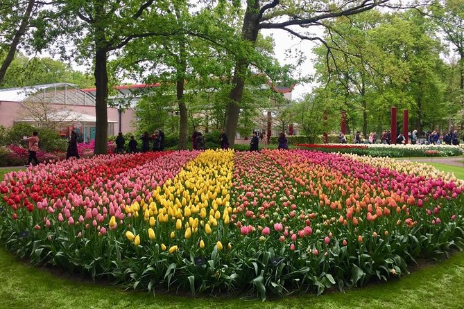 Keukenhof's Tulips and Windmills Small-Group Tour from Amsterdam - Molen De Kat: the working windmill climb you’ll remember