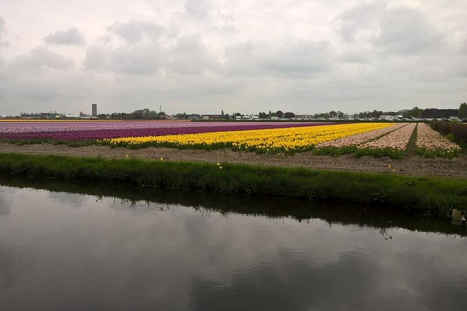Keukenhof's Tulips and Windmills Small-Group Tour from Amsterdam - Who this tour is for (and who should look elsewhere)