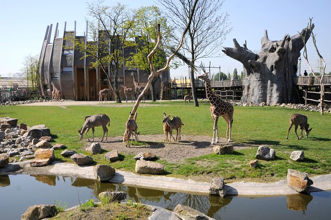 Rotterdam Zoo Diergaarde Blijdorp Direct Entrance Ticket - Key things that matter before you go